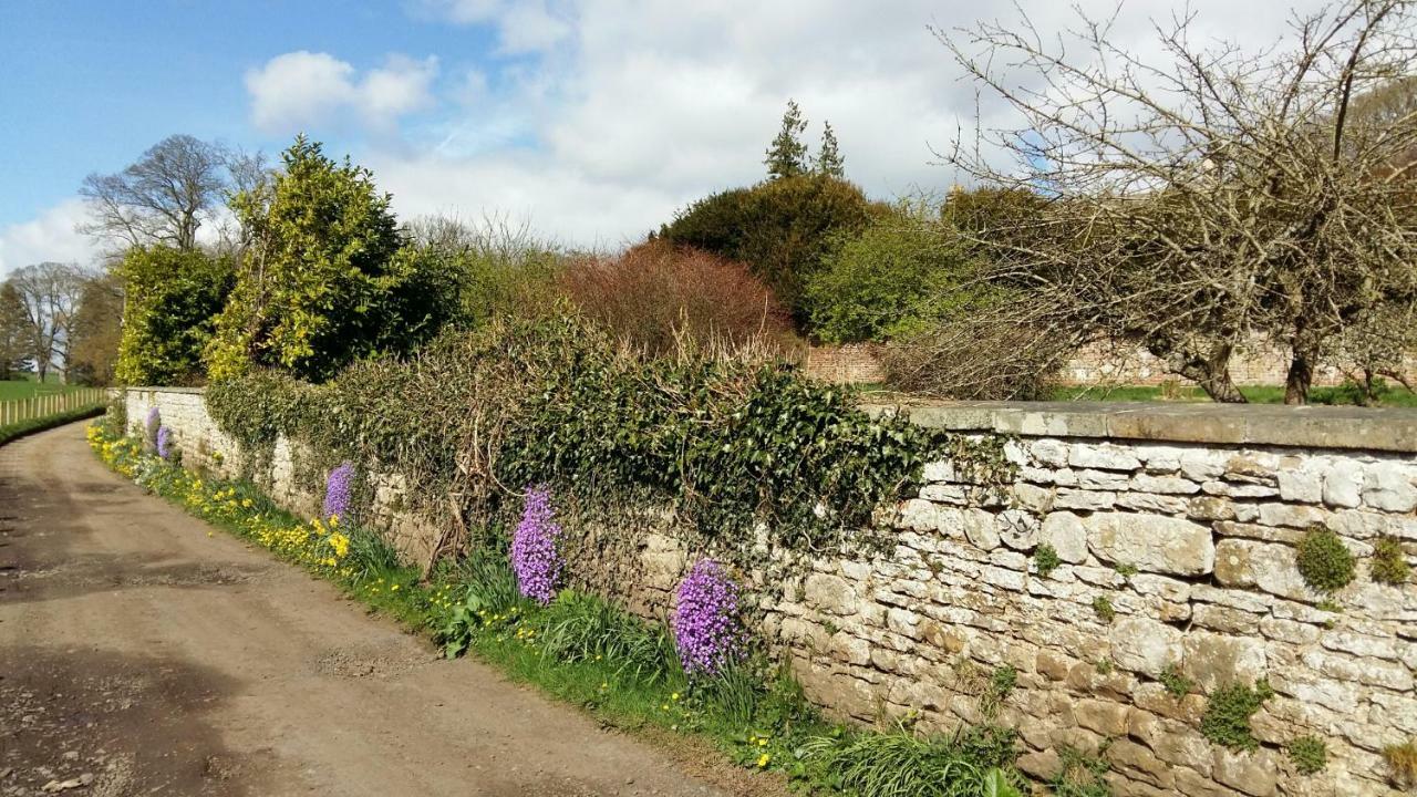 Owl Cottage Hexham Exterior photo